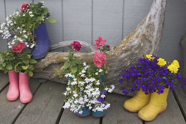 Alaska, Homer Rubber boots used as flower pots